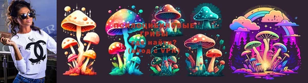 эйфоретик Карпинск