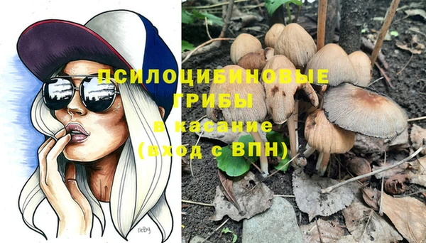 mix Касимов